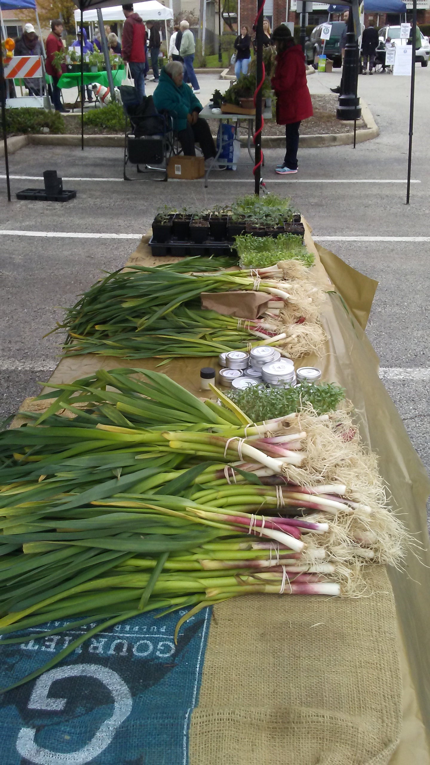 Green Garlic Garlic Underground Chicago